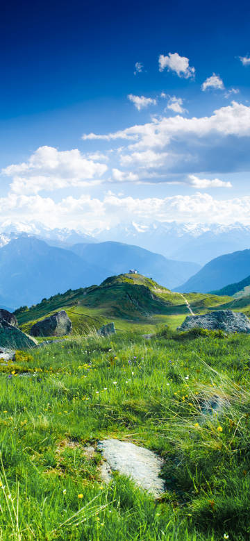 Green hillside under the blue sky and white clouds phone wallpaper