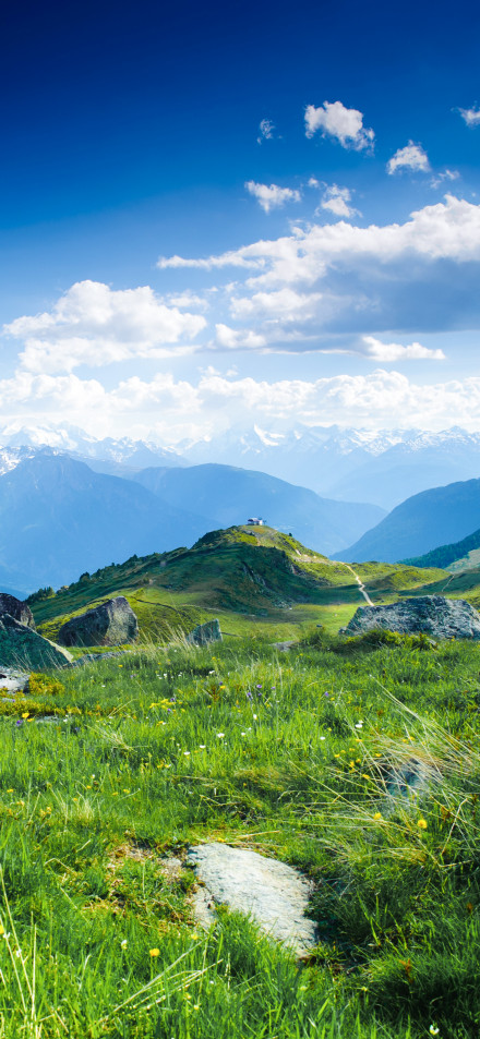 Green hillside under the blue sky and white clouds phone wallpaper